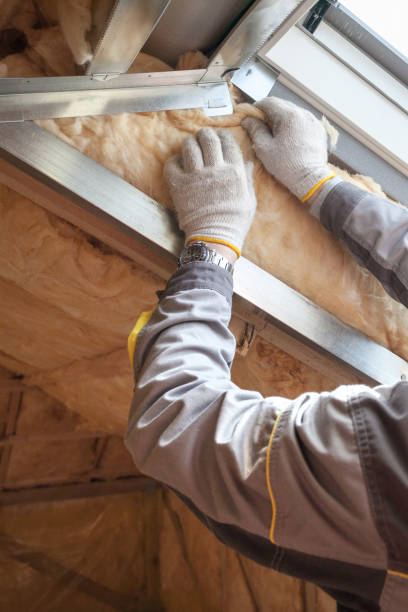 Best Specialized Insulation Services in Lordstown, OH